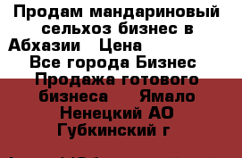 Продам мандариновый сельхоз-бизнес в Абхазии › Цена ­ 1 000 000 - Все города Бизнес » Продажа готового бизнеса   . Ямало-Ненецкий АО,Губкинский г.